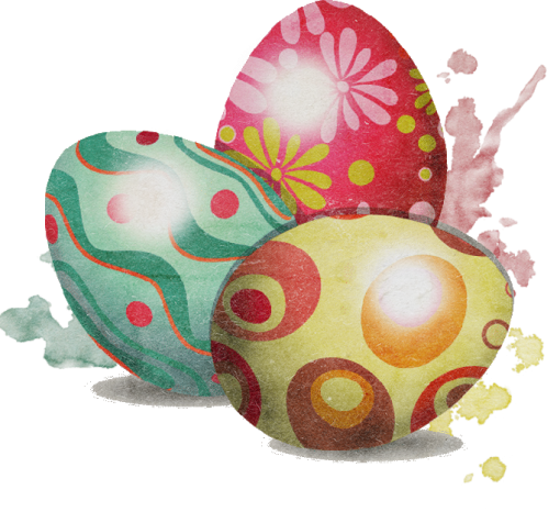 Снимка на яйца